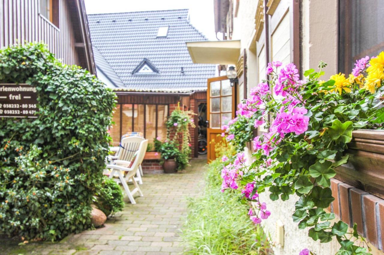 Likedeeler 3 Lägenhet Zingst Exteriör bild