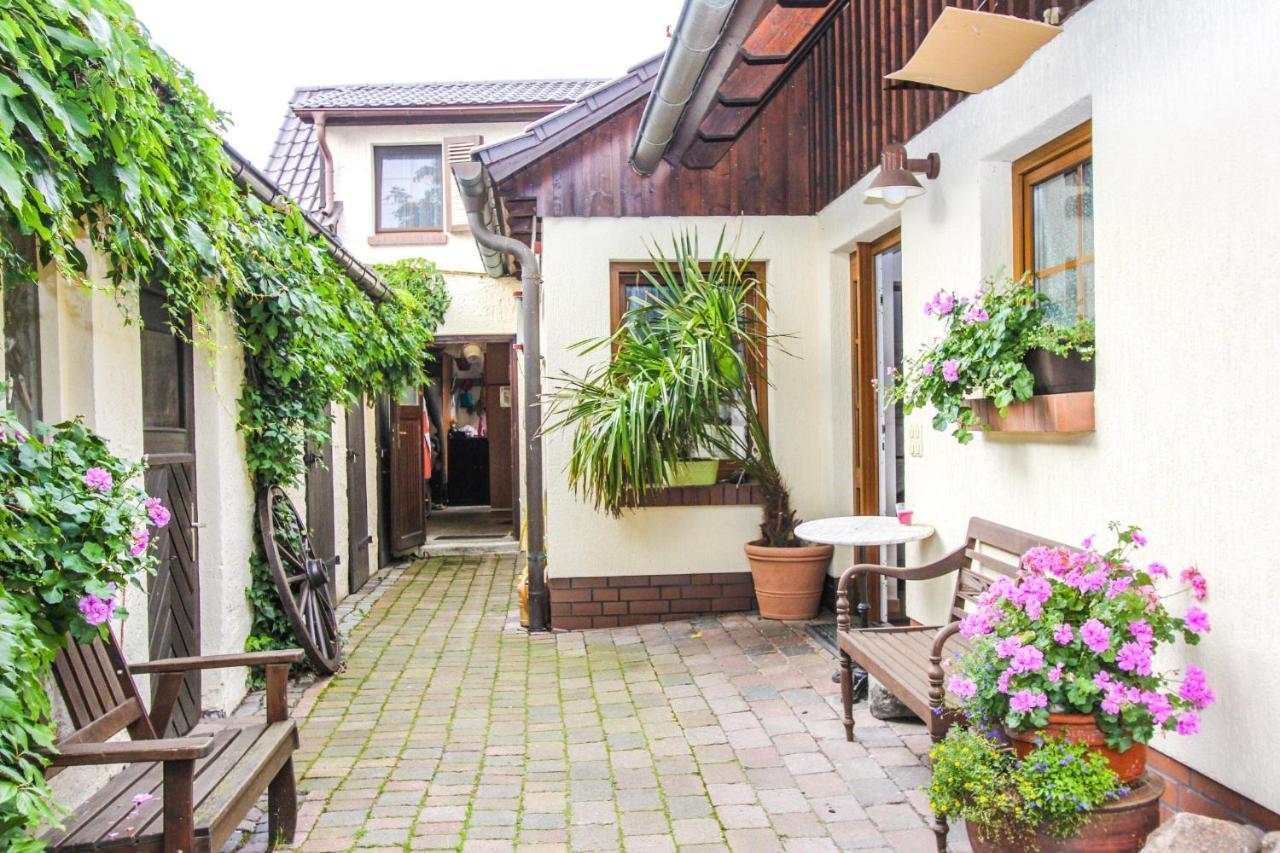 Likedeeler 3 Lägenhet Zingst Exteriör bild